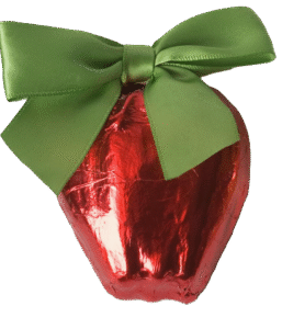 A beautiful locally grown apple