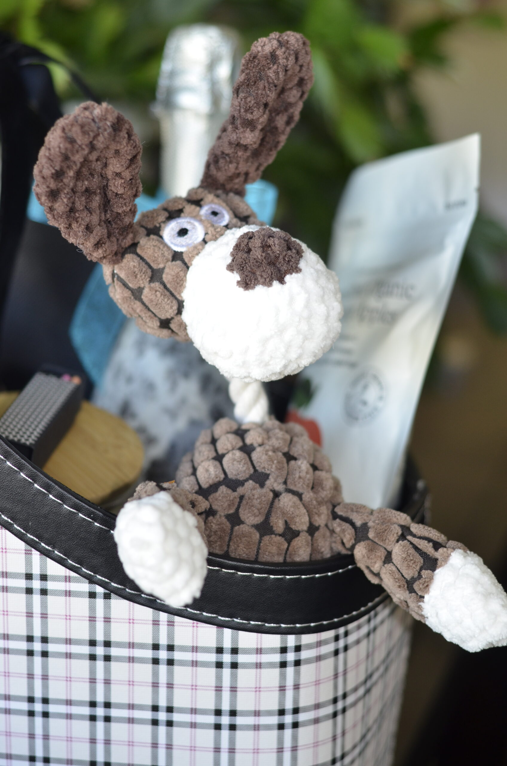 For the Fur Baby – Plush Squeaky Dog Toy